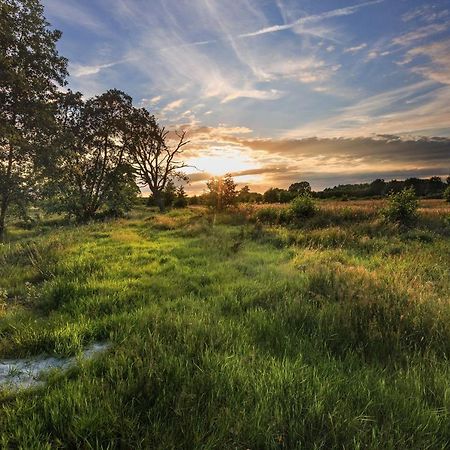 Chalet Heische Tip In Zeeland, Noord-Brabant Voor Max 3 Volwassenen En 2 Kinderen酒店 外观 照片